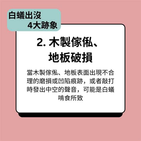 白蟻喜歡的環境|消滅白蟻攻略｜白蟻入屋數月可吃光家具 拆解4個入屋 